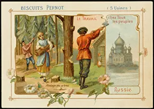 Felling: Felling Wood, Russia