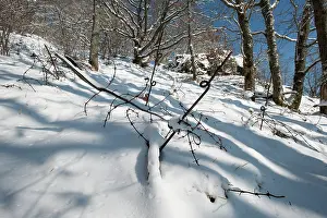 Felsen: Felsen Nest