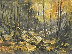 Egbert: Felsenmeer