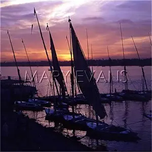 Felucca: FELUCCA SUNSET