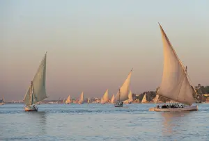 Felucca: Feluccas, river Nile, Luxor, Egypt