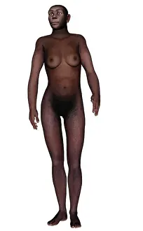 Ancestor: Female homo erectus walking