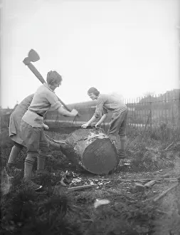 Lumberjacks: Female Lumberjacks!