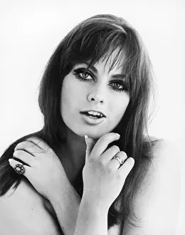FEMALE MODEL