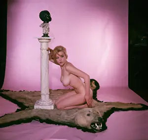 Robin Adler: Female model on bear rug in studio portrait