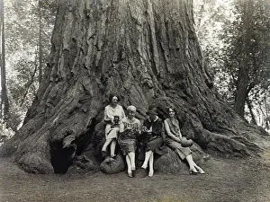 Sightseers: Female Photographers and Sequoia, 1920
