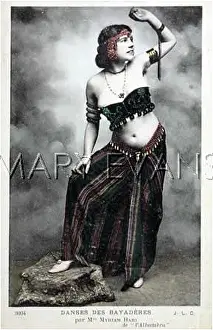 Bayaderes: FEMALE TYPE/BAYADERE 2/2