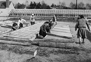 Reichsarbeitsdienst: Female Voluntary Labor Service, 1934