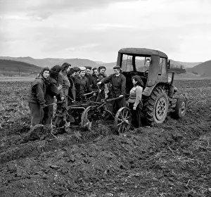 Usti: Female work in agriculture