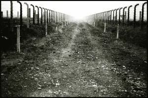 Morbid: Between the fences into the sun Auschwitz-Birkenau