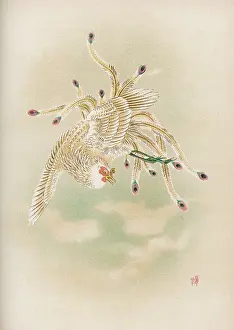 Feng: Feng-Hwang Bird