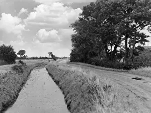 Fens: A FENLAND DYKE