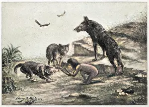 Quarrelling: Feral Children