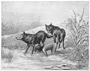 Feral: Feral Children