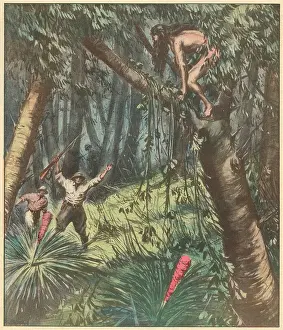 Feral: Feral children