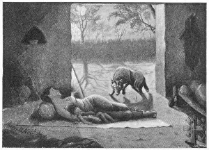 Feral: Feral Children