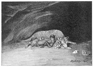 Adopting: Feral Children