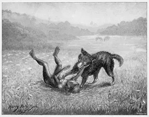 Feral: Feral Children