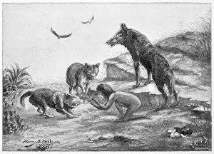 Quarrelling: Feral Children