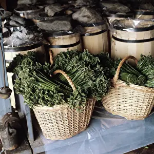 Shipment: Fern picking, 1982