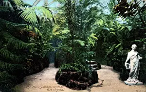 Blackpool: The Fernery - Winter Gardens, Blackpool, Lancashire