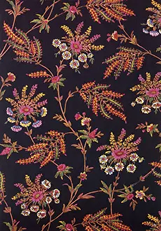 Radiating: Ferns and Flowers