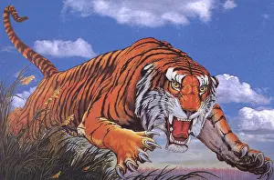 Claws: Ferocious Tiger