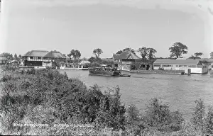 Ferns: Ferry Reach, Horning
