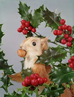 Nestling: FESTIVE NUTTY SQUIRREL 2