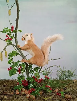 Hoard: FESTIVE NUTTY SQUIRREL 5