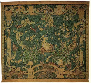 Griffon: Feuilles d'Aristoloche au Griffon
