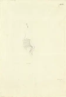 1754 1794: Ff. 252 sketch by George Forster