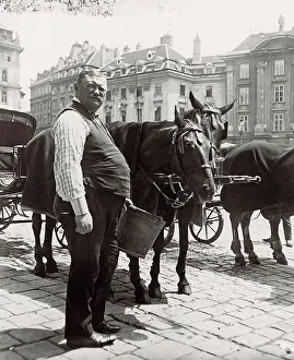 Fiaker: Fiaker coachman feeding his horses