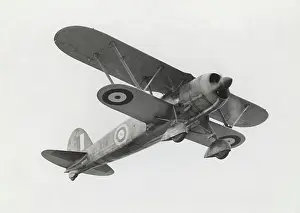 Single Seat: Fiat CR-42 Falco