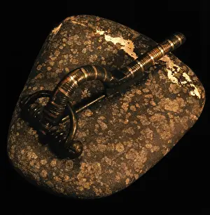 Fibula: Fibula