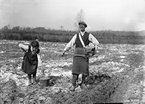 Ploughed: Fiddle Sowing