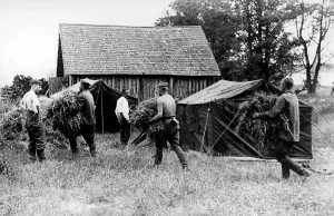 Presumably: Field Army Command of the Wehrmacht, 1941