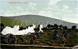 Inaction: FIELD ARTILLERY INACTION