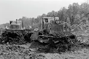 Clearing: Field Clearing