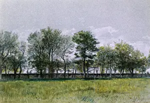 Haseltine: Field of Grass and Trees