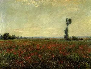 Poppies: Field of Poppies, by Monet