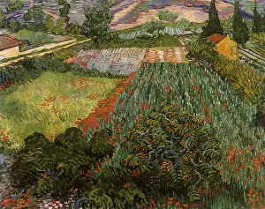 Poppies: Field with Poppies, by Van Gogh