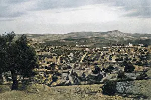 Bethlehem: Field of the Shepherds, Bethlehem