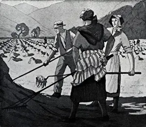 Expansive: Field Workers