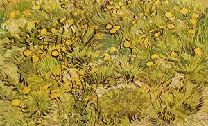 Gogh: A Field of Yellow Flowers, by Van Gogh