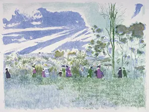 Lithography: Across the fields