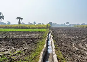 Conduit: Fields, Al Qarnah, Luxor, Egypt