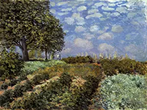 Vines: The Fields, by Alfred Sisley