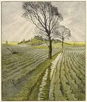 Plowed: FIELDS IN AUTUMN