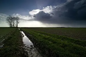 Noyon: Fields of Battle - Aisne